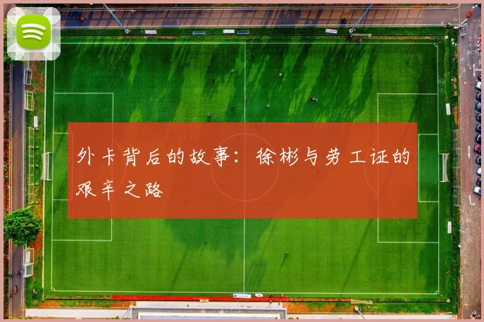 外卡背后的故事：徐彬与劳工证的艰辛之路