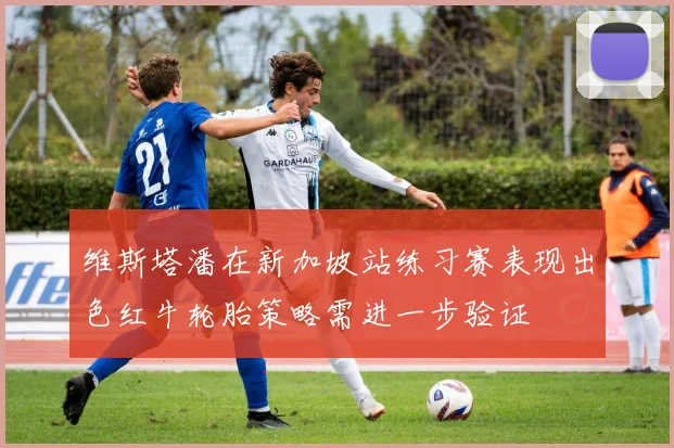 维斯塔潘在新加坡站练习赛表现出色红牛轮胎策略需进一步验证