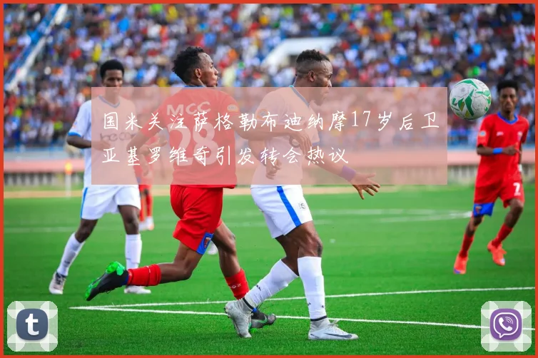 国米关注萨格勒布迪纳摩17岁后卫亚基罗维奇引发转会热议