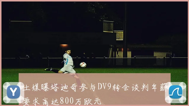 土媒曝塔迪奇参与DV9转会谈判年薪要求高达800万欧元