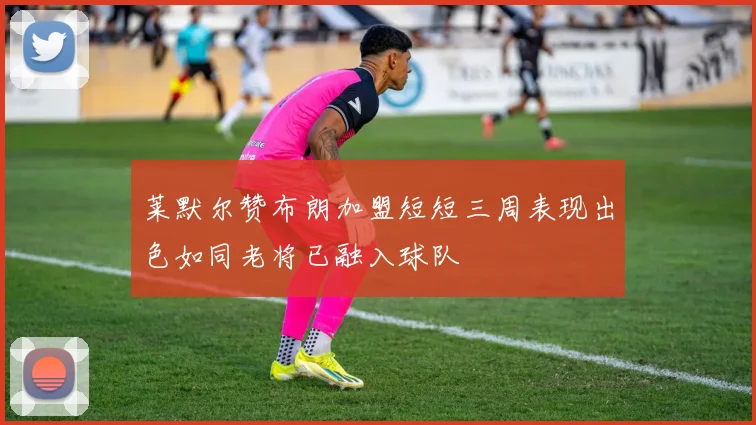 莱默尔赞布朗加盟短短三周表现出色如同老将已融入球队